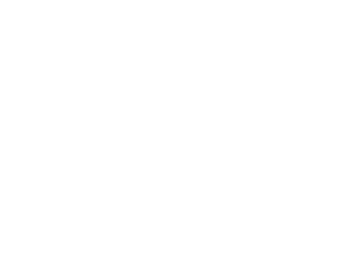 Blog&Web